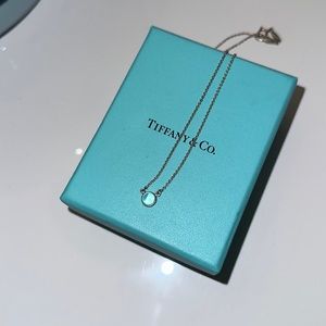 Tiffany & Co Elsa Peretti Color by the Yard Moonstone Pendant Necklace